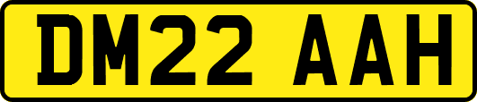 DM22AAH