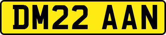 DM22AAN
