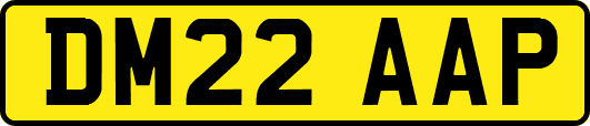 DM22AAP