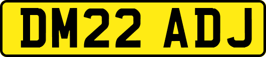 DM22ADJ