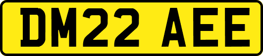 DM22AEE
