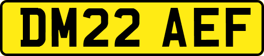 DM22AEF