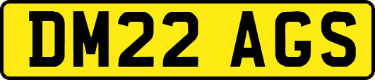 DM22AGS