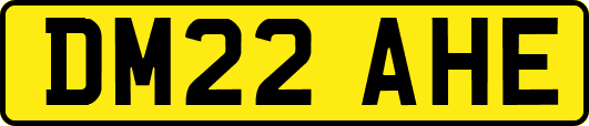 DM22AHE