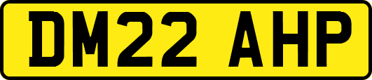 DM22AHP