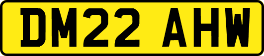 DM22AHW