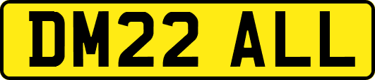 DM22ALL