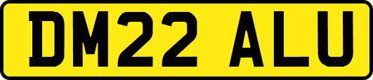 DM22ALU