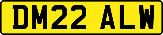 DM22ALW