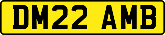 DM22AMB