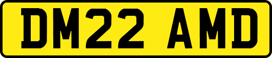 DM22AMD