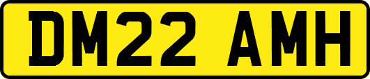 DM22AMH