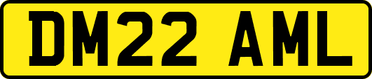 DM22AML