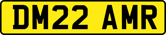 DM22AMR