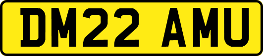 DM22AMU