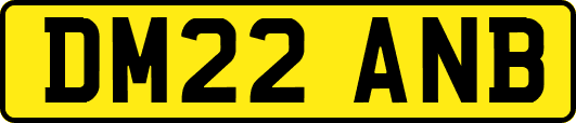DM22ANB
