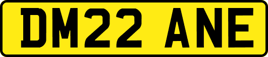 DM22ANE