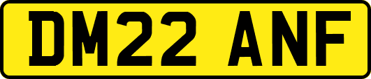 DM22ANF