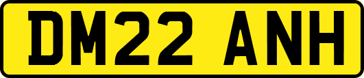 DM22ANH
