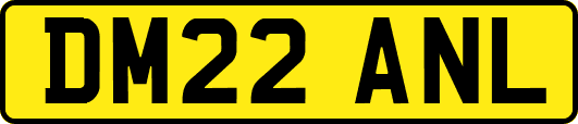 DM22ANL