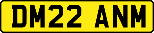 DM22ANM