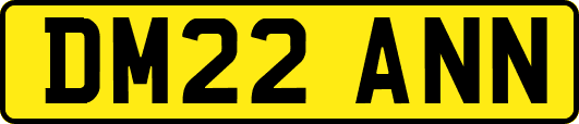 DM22ANN