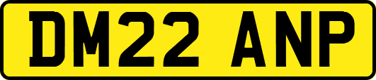 DM22ANP