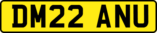 DM22ANU