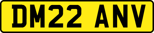 DM22ANV