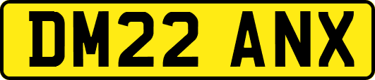 DM22ANX