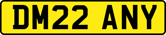DM22ANY