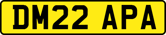 DM22APA