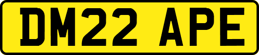DM22APE