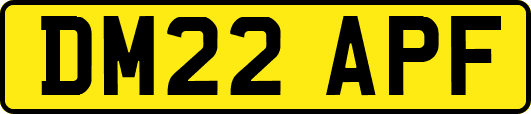 DM22APF