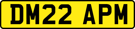 DM22APM