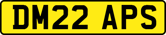 DM22APS