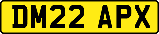 DM22APX