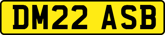 DM22ASB