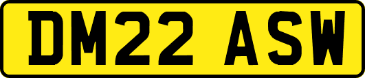DM22ASW