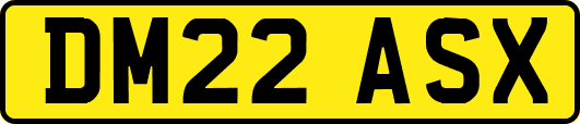DM22ASX