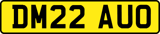 DM22AUO