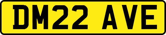 DM22AVE