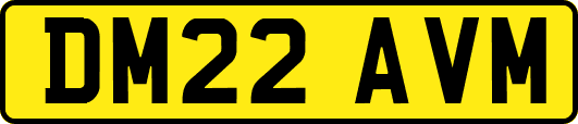 DM22AVM