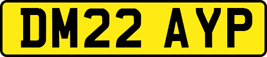 DM22AYP