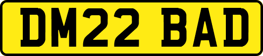 DM22BAD