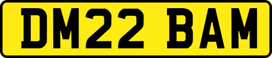 DM22BAM