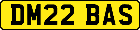 DM22BAS