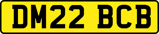DM22BCB