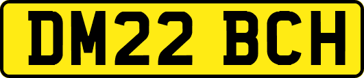 DM22BCH