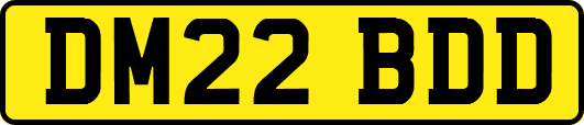 DM22BDD